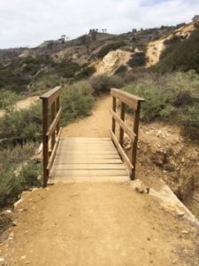 This little footbridge leads up the Rim Trail.