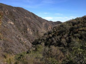 Temescal Canyon