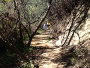 Temescal Canyon Trail