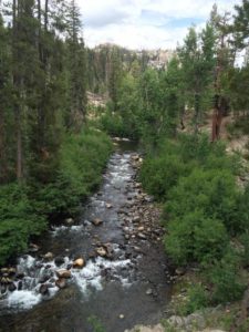 Looking north up the San Joaquin River