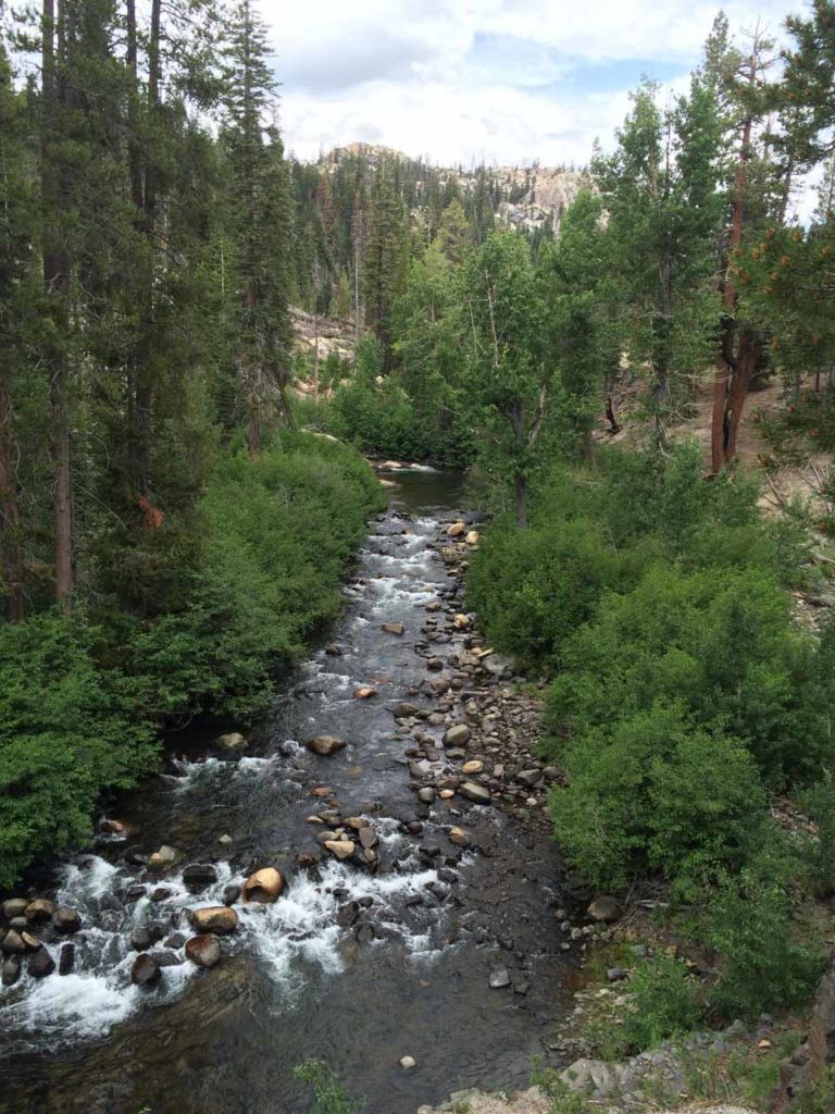 Looking north up the San Joaquin River