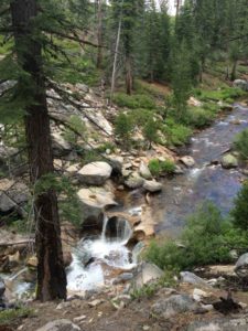 A typical cascade as we hiked along Illilouette Creek