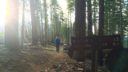 Almost to Camp