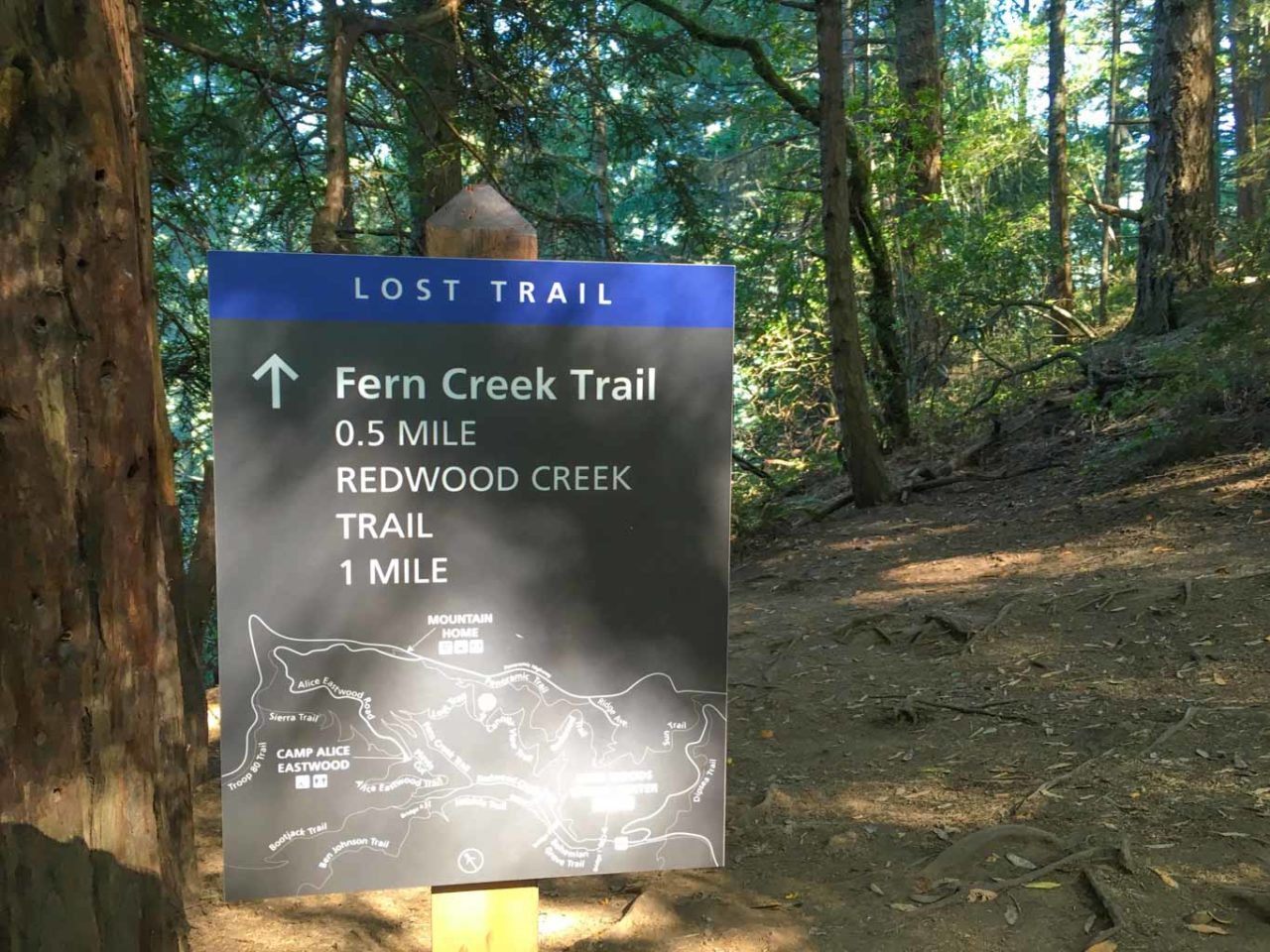 Also described as the Fern Canyon Trail on some maps.