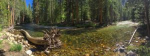 Kern River Panorama