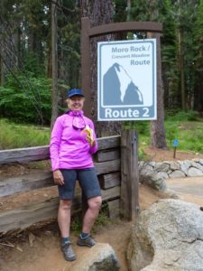 Take the shuttle from Lodgepole to Crescent Meadow