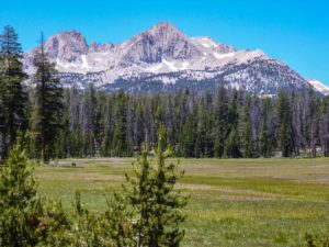 Stunning alpine meadows on the High Sierra Trail