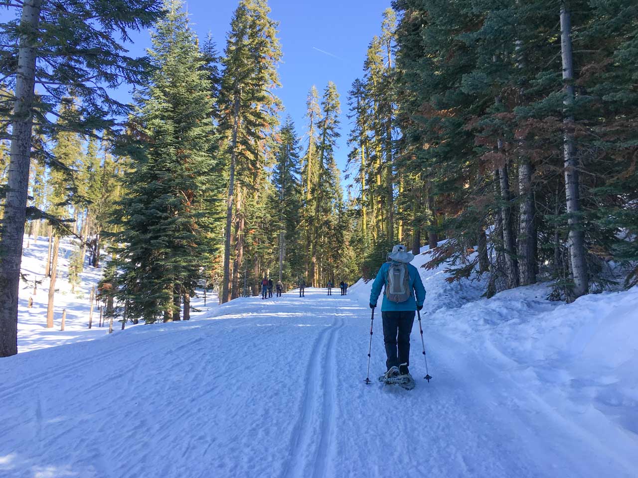 Snowshoeing to Dewey Point in Yosemite SoCal Hiker