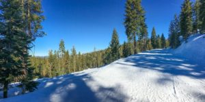 The trail starts with a well-groomed, gentle incline