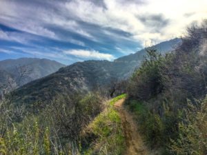 Hiking the La Tuna Canyon Trail - SoCalHiker