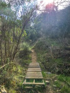 Rustic bridge on the La Tuna Canyon Trail