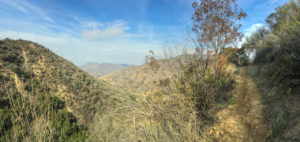 La Tuna Canyon Trail