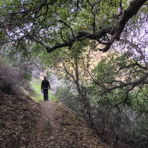 Hiking the La Tuna Canyon Trail SoCalHiker