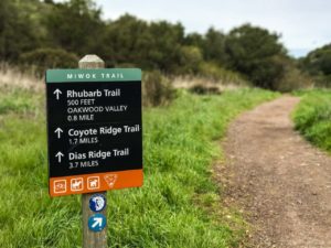 The start of the Coyote Ridge Loop
