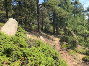 Hiking Rocky Mountain via the Manitou Incline Trail