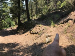 The lightly-used trail to the summit of Rocky Mountain