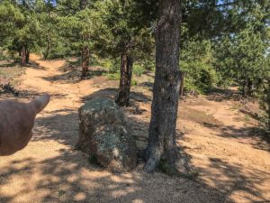 Look for this trail up Rocky Mountain