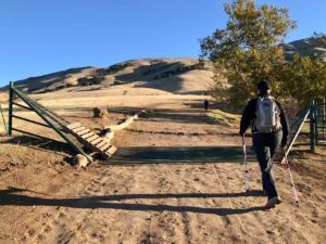 Cattle guard
