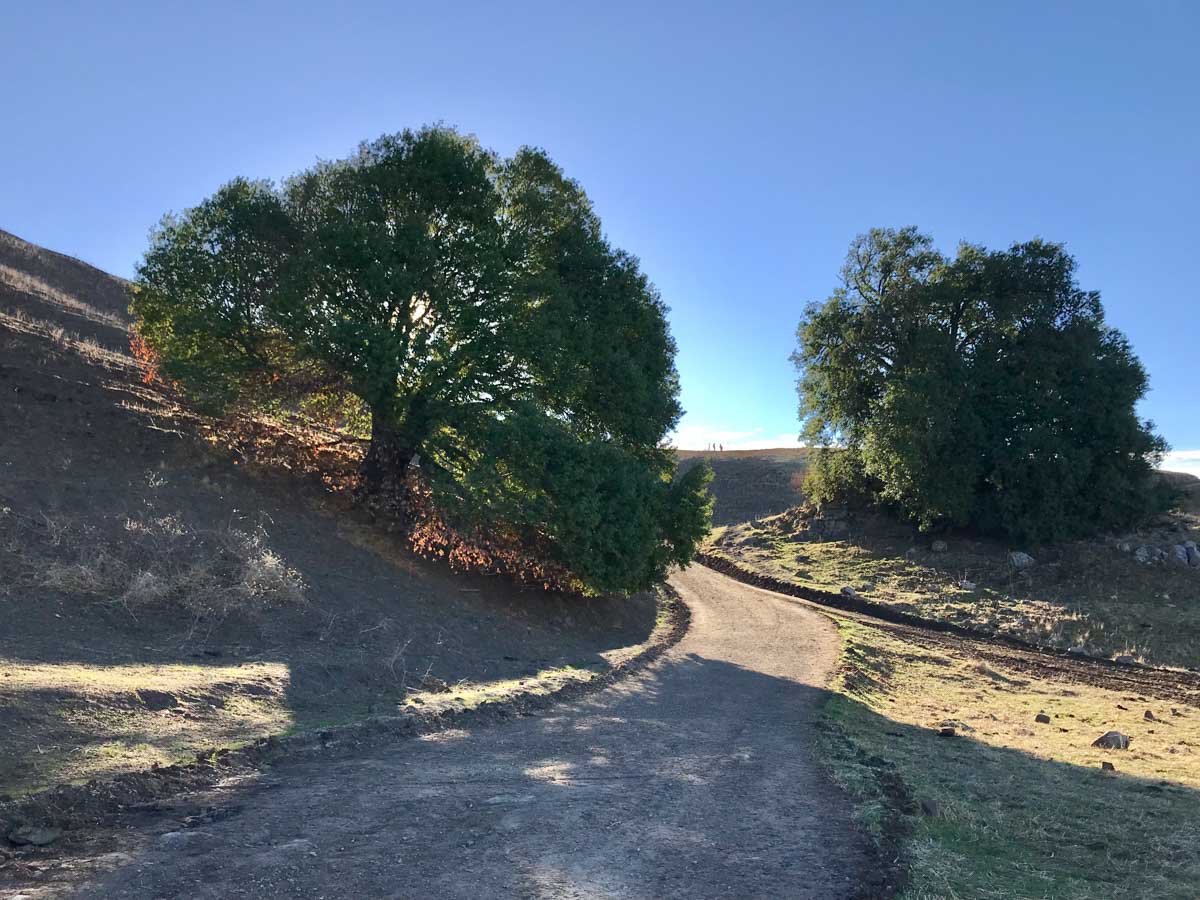 Hike Mission Peak when the sun is low and the temperature is cooler