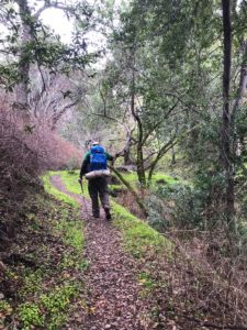Heading up the Vallecito Trail