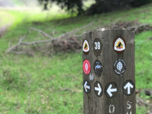 Heading toward Rose Peak