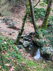 Water crossing