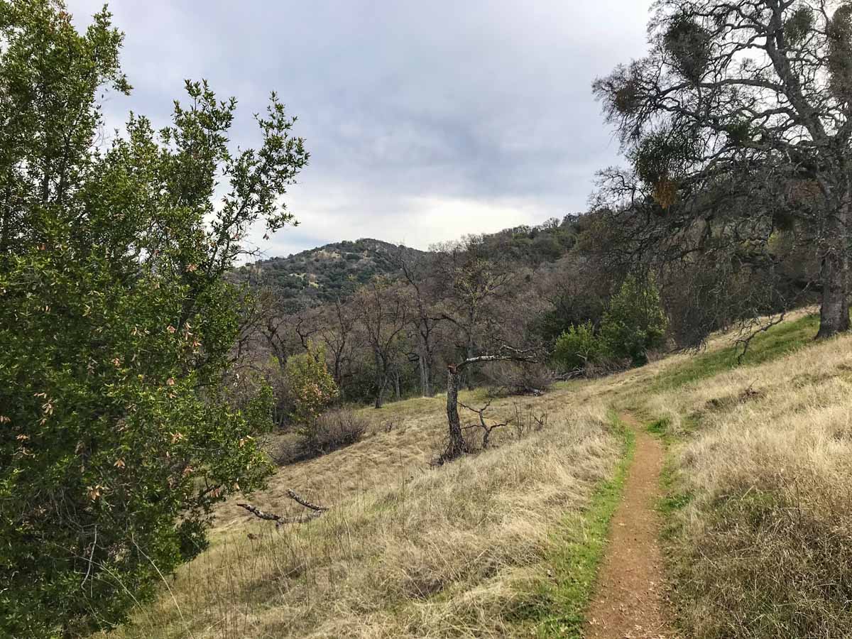 Deceptively gently trail