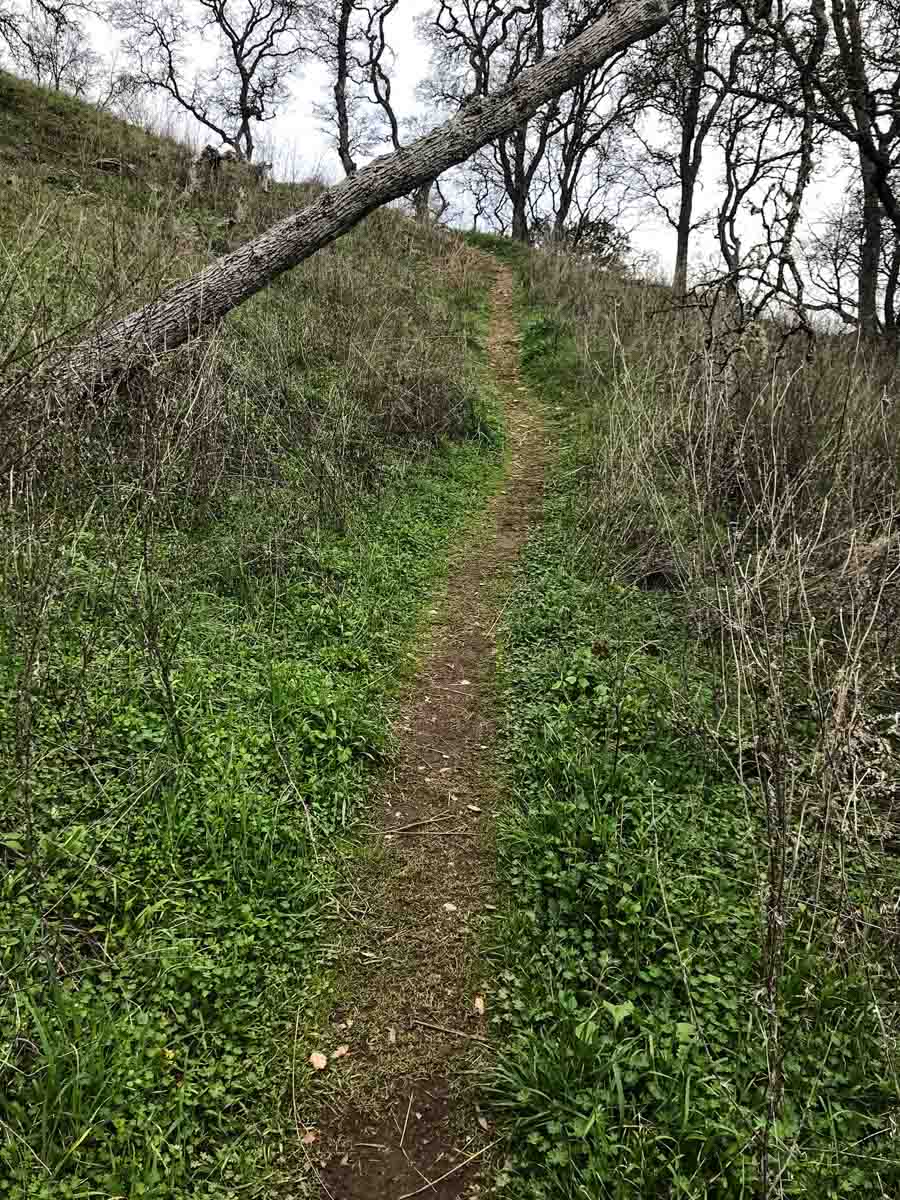 Ridges, bloody ridges