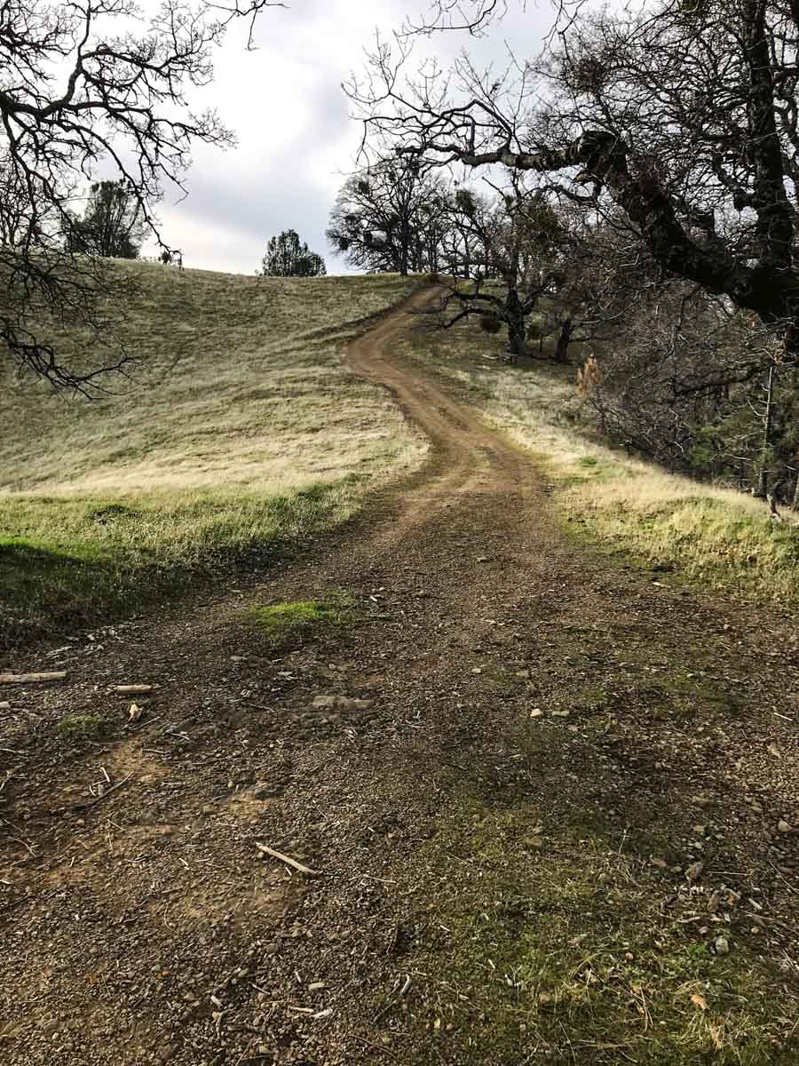 Trail toward Maggies Half Acre