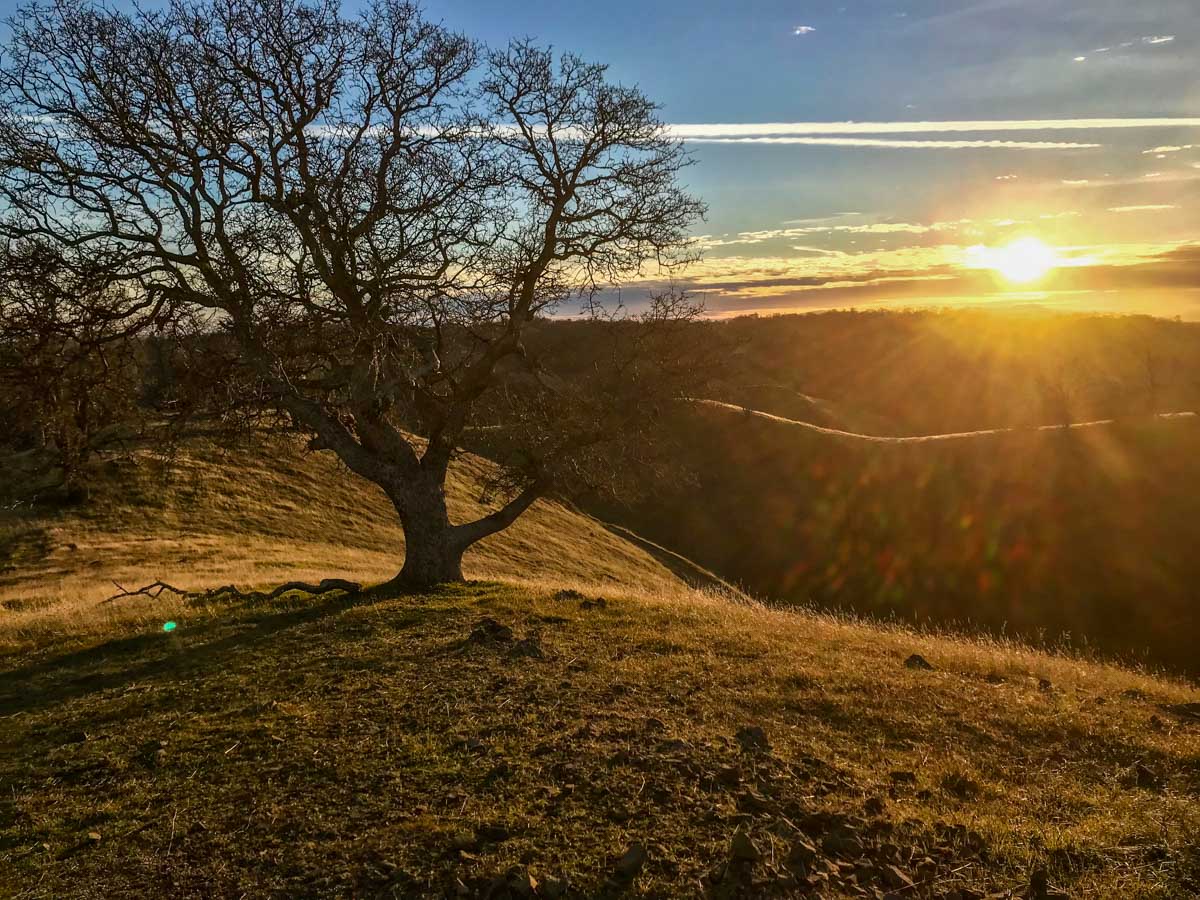 Hiking to Rose Peak from Del Valle Regional Park