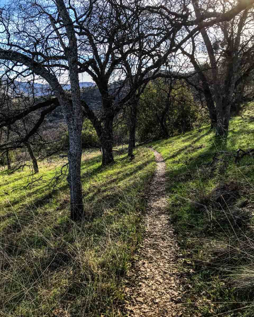 Early morning light on the trail back