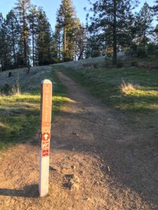 Stay toward Frog Lake