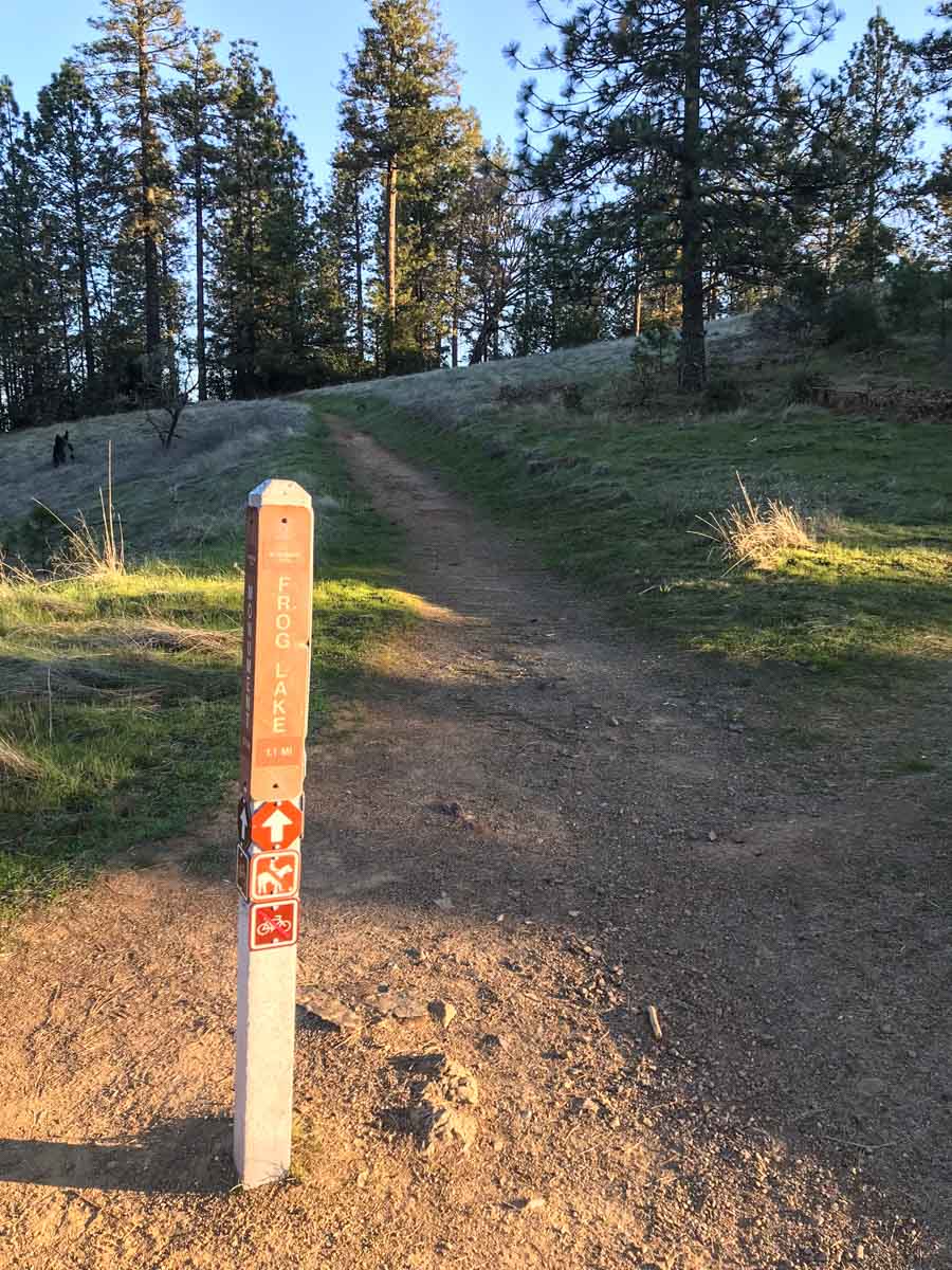 Stay toward Frog Lake