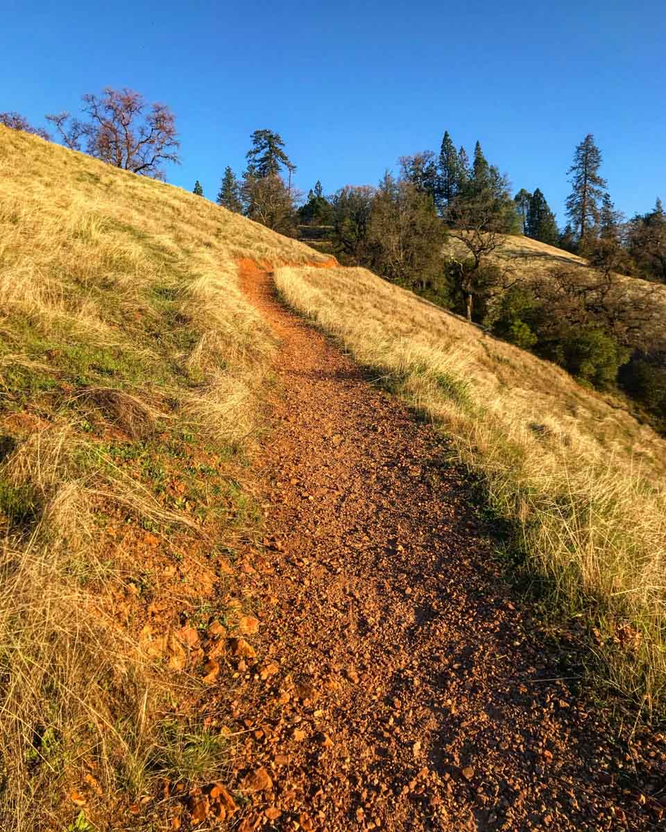 Single track in the early morning sunlight