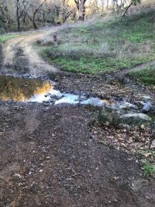 Hiking the Mount Sizer Loop in Henry Coe State Park