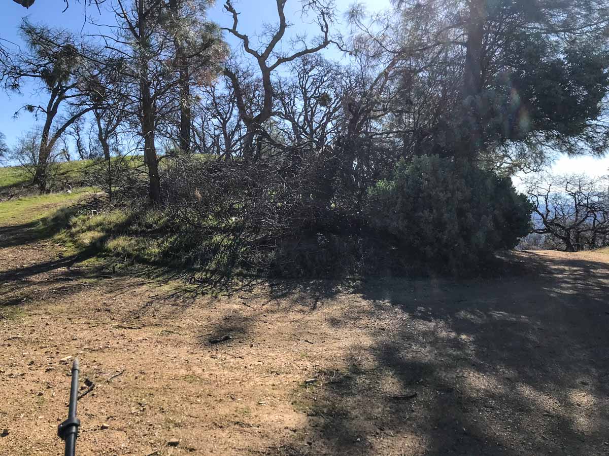 Bear left to the spur trail to the top of Mt Sizer