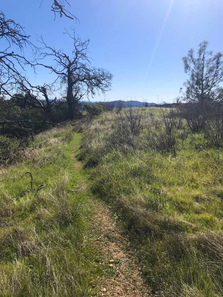 Rough, little used Jackass Trail