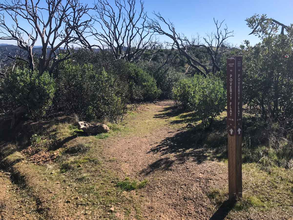 Leave Blue Ridge Road and take the Jackass Trail toward Poverty Flat