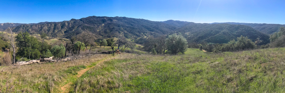 Views of Henry Coe SP from the Jackass Trail