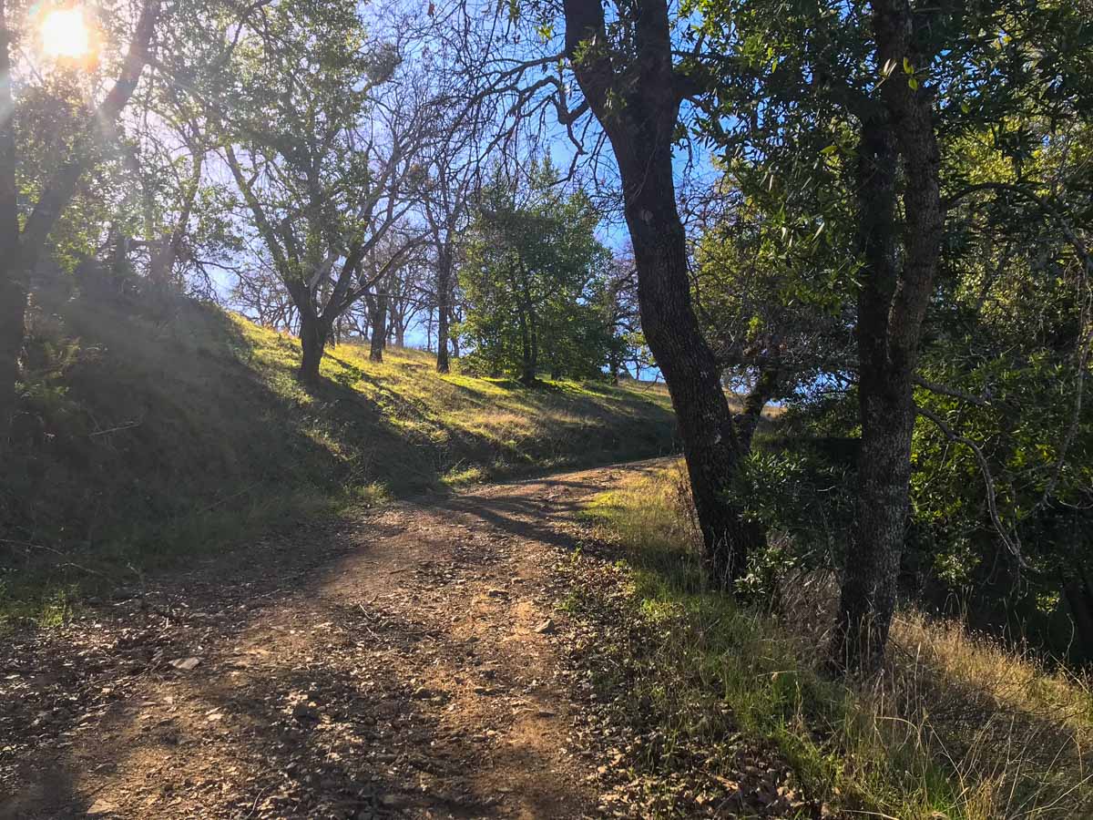 Hiking Mount Sizer Loop in Henry Coe State Park