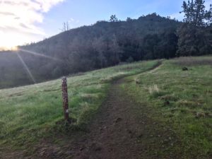 Take the Eagle Peak Trail