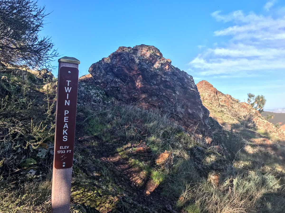 Twin Peaks marker