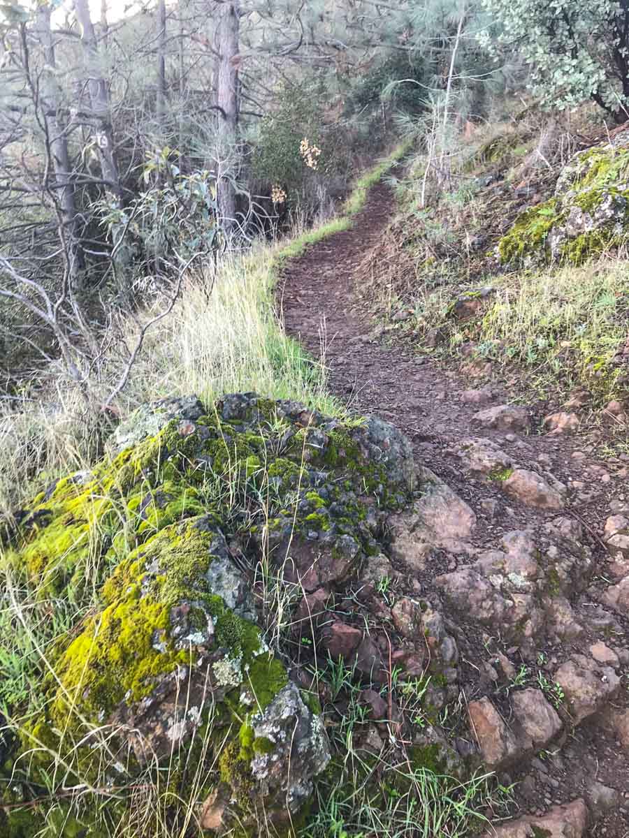 Typical trail conditions