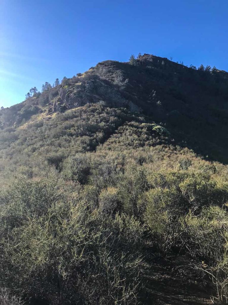 Climbing up to Eagle Peak