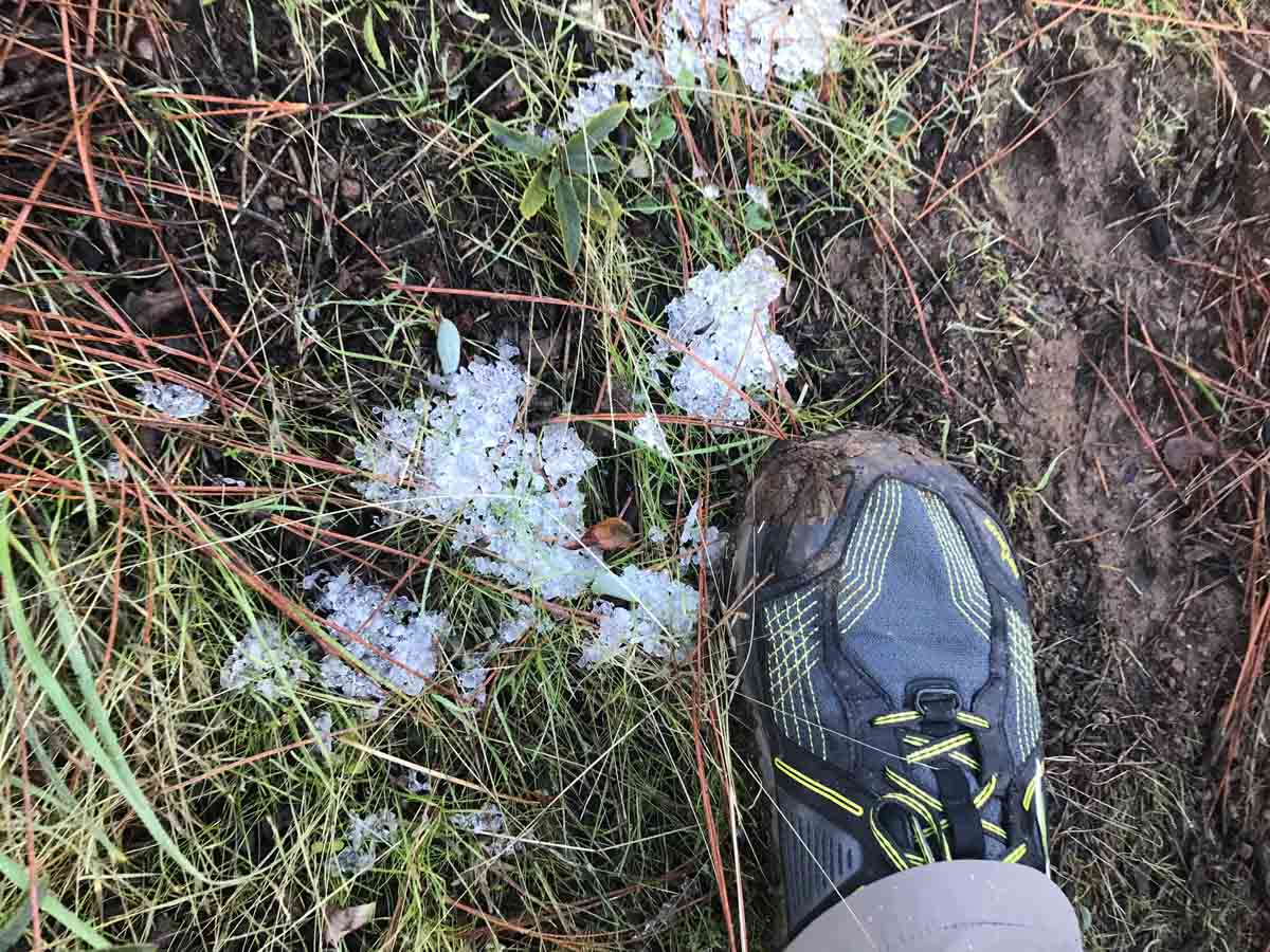 Hail from the last storm