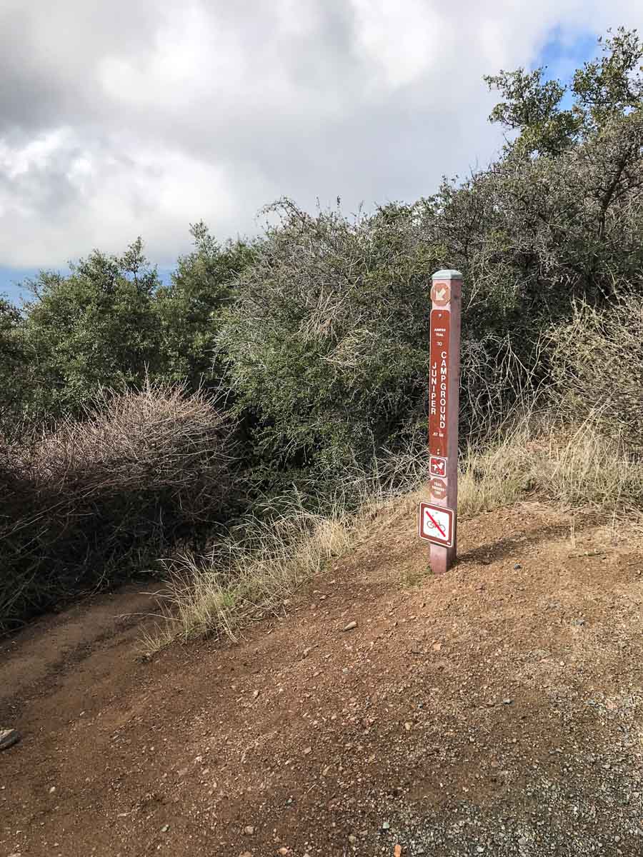 Trail to Juniper Campground
