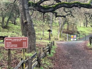 Start of the Mitchell Canyon Trail