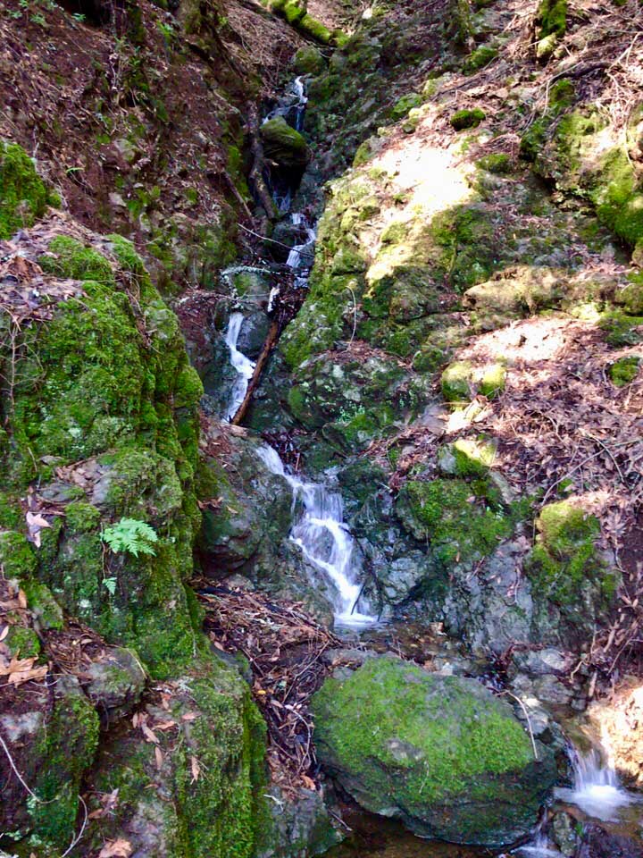 Countless rivulets and waterfalls