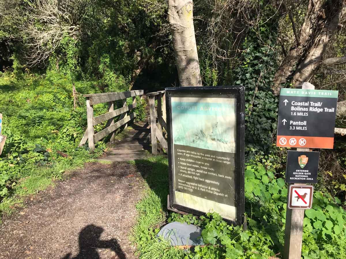 End of the Matt Davis Trail