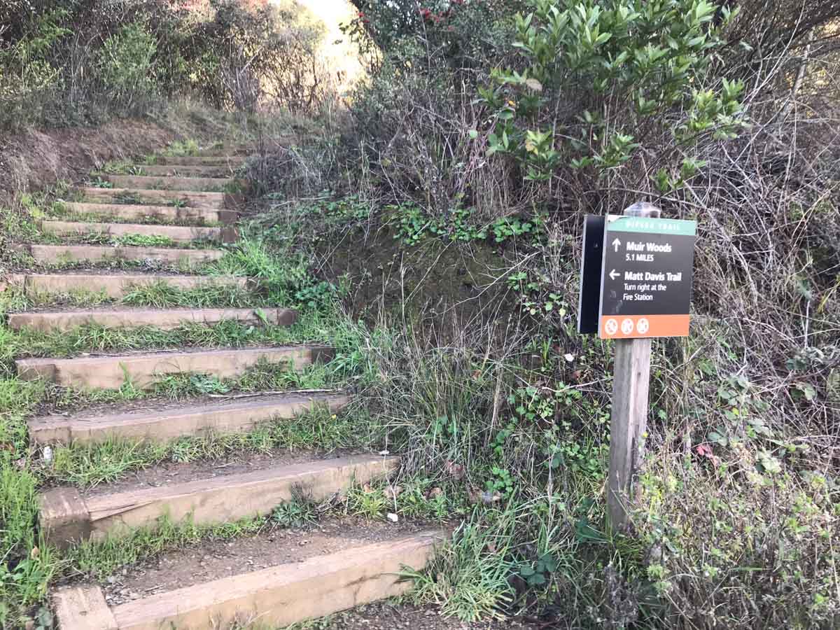 Dipsea Trailhead